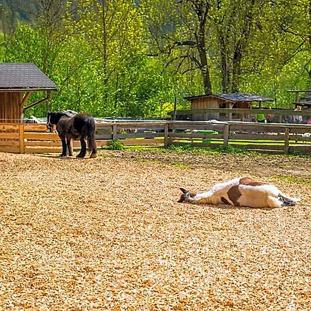 Ξενοδοχείο Appelhof 4*