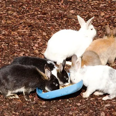 Appelhof Отель 4*