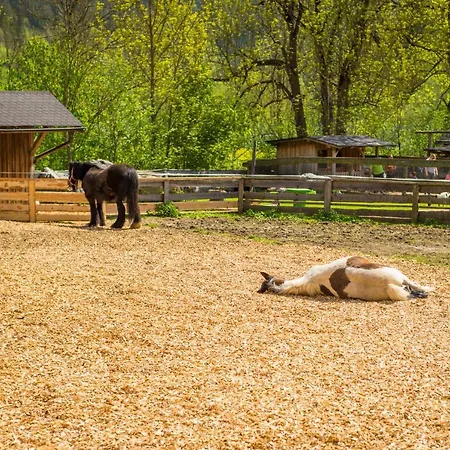 Hotel Appelhof 4*