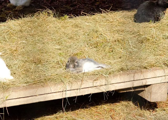Hotell Appelhof Mürzsteg