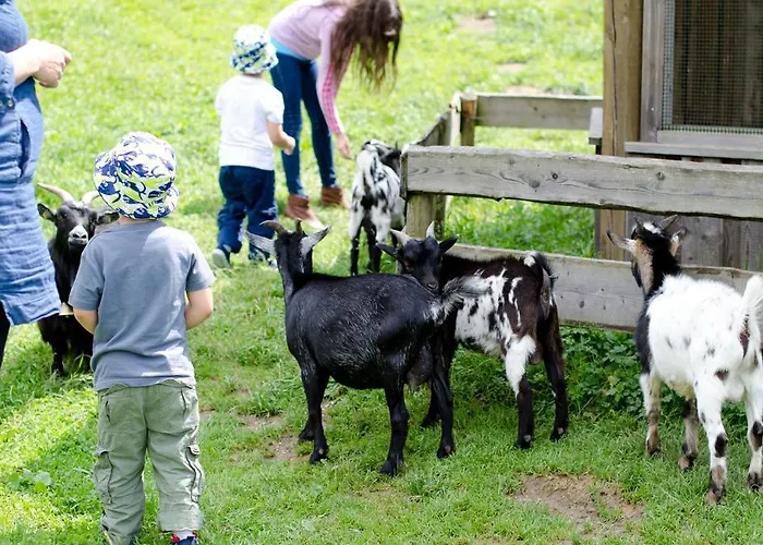 فندق Appelhof Mürzsteg