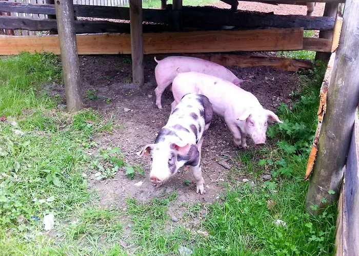 فندق Appelhof 4*