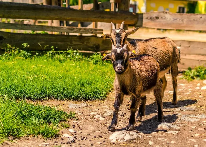 Appelhof 4* Mürzsteg