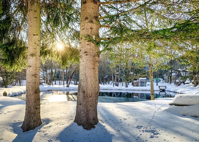 فندق Appelhof 4*