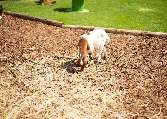 Appelhof فندق 4*